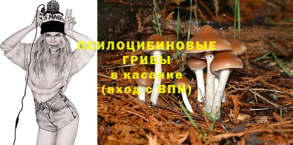 COCAINE Снежногорск