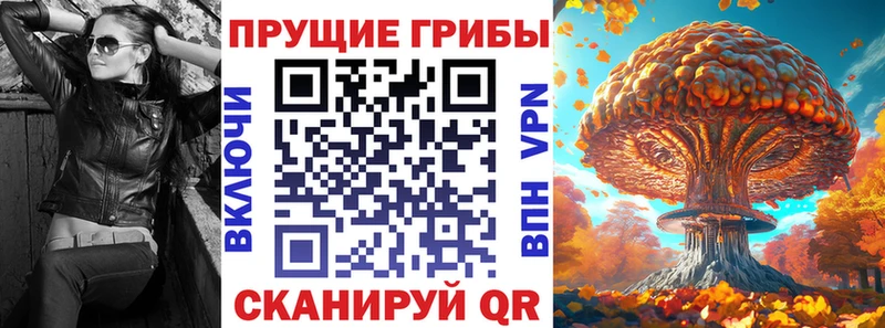 Псилоцибиновые грибы Psilocybine cubensis  площадка клад  Чехов 